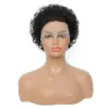 Export European and American wigs, lace, African small curls, full real hair, forehead curls, export style, one-piece consignment factory details Picture